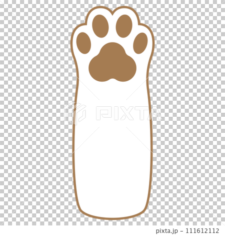 white cat paws with brown paws 111612112