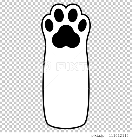 white cat paws with black paws white cat paws with black paws 111612113
