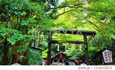 京都・嵐山「野宮神社」 111612921