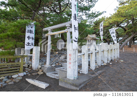 羽衣の松のある三保の松原 日本三大松原 羽衣の松のある三保の松原 日本三大松原 111613011