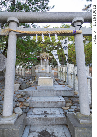 羽衣の松のある三保の松原 日本三大松原 羽衣の松のある三保の松原 日本三大松原 111613012