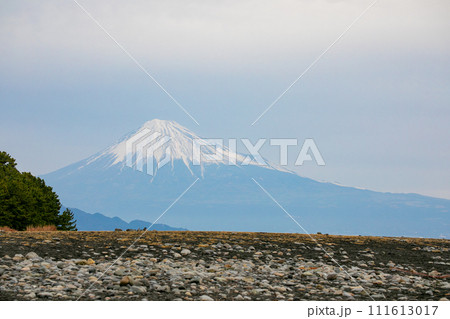 日本三大松原 静岡県の富士山と松林 日本三大松原 静岡県の富士山と松林 111613017