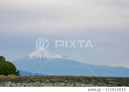 日本三大松原 静岡県の富士山と松林 日本三大松原 静岡県の富士山と松林 111613018