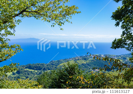 静岡県伊東市の観光名所　小室山から見える伊豆大島 111613127