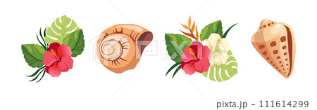 Spiral Conch and Sea Shell and Tropical Exotic Flora Vector Set Spiral Conch and Sea Shell and Tropical Exotic Flora Vector Set 111614299