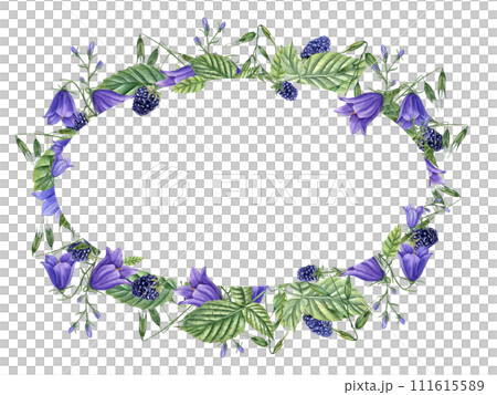 Frame with ripe aromatic Blackberries, meadow Herbs and Flowers. Berries, campanula, avena. Dewberry, bramble. Watercolor illustration for template, package. Space for text 111615589
