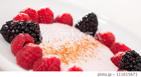 Raspberries and blackberries laid out on a white plate in circle with yogurt and cinnamon Raspberries and blackberries laid out on a white plate in circle with yogurt and cinnamon 111615671