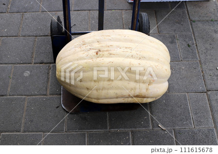 Vegetables, fruits and berries are sold at the bazaar in Tel Aviv 111615678