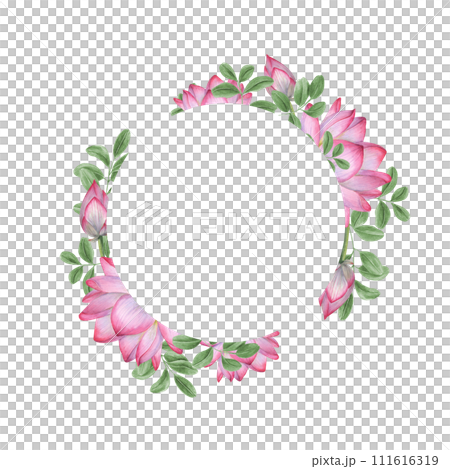 Pink white lotus, Butterfly pea leaves. Round frame with Water Lily, wisteria leaves. Indian lotus, sacred lotus. Watercolor illustration for greetings, invitations. Copy space for text. 111616319