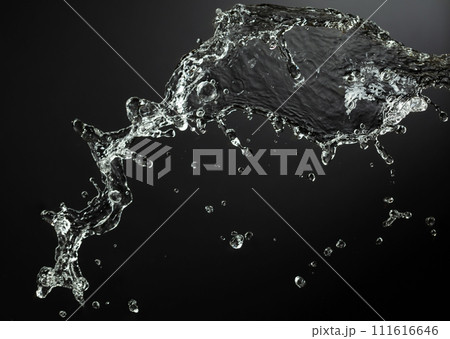 Water splash on the black background. 111616646