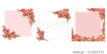 Watercolor painted frame card set. Spring flowers, buds, leaves of quince, apple Japanese pear branch of blooming tree Template illustration Invitation for wedding, birthday Isolated white background. Watercolor painted frame card set. Spring flowers, buds, leaves of quince, apple Japanese pear branch of blooming tree Template illustration Invitation for wedding, birthday Isolated white background. 111616741