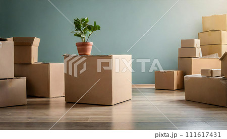 新居 引越しイメージ 新居 引越しイメージ 111617431