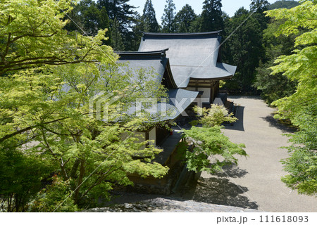 新緑の神護寺 五大堂と毘沙門堂 京都市右京区高雄 新緑の神護寺 五大堂と毘沙門堂 京都市右京区高雄 111618093