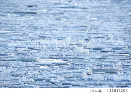 Fragments of melting ice with wet snow float on sea water, natural winter background Fragments of melting ice with wet snow float on sea water, natural winter background 111618268