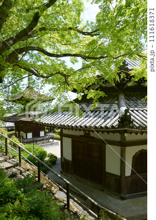 新緑の善峯寺　多宝塔と経堂　京都市西京区 111618371