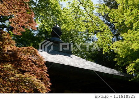 金蔵寺　護摩堂の屋根　京都市西京区大原野 111618525