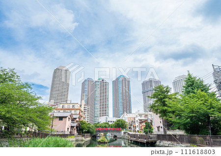 「東京都」佃公園から見るタワーマンション群 「東京都」佃公園から見るタワーマンション群 111618803