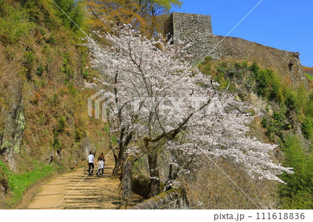 岡城址の春(大分県竹田市) 岡城址の春(大分県竹田市) 111618836