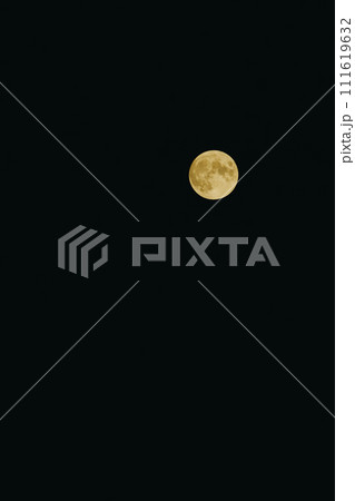 夜空に浮かぶ満月 111619632