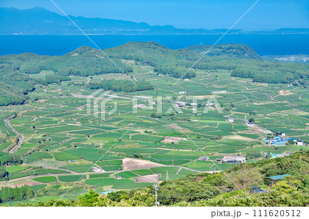 【大野岳しろろ展望台からの風景】 鹿児島県南九州市頴娃町郡 111620512