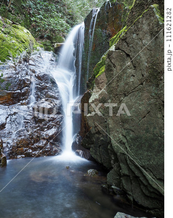 萩市・鳴海の滝 111621282