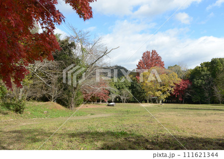 秋の大覚寺 大沢池の紅葉 京都市右京区嵯峨 秋の大覚寺 大沢池の紅葉 京都市右京区嵯峨 111621344