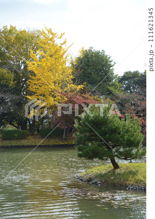 秋の大覚寺　大沢池の紅葉　京都市右京区嵯峨 111621345