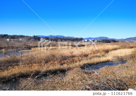 秩父方面　荒川本流の冬景色　花園水辺公園付近からの眺め　　 111621766