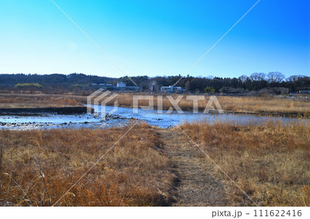 冬の河原風景　花園水辺公園付近からの眺め　冬景色　　 111622416