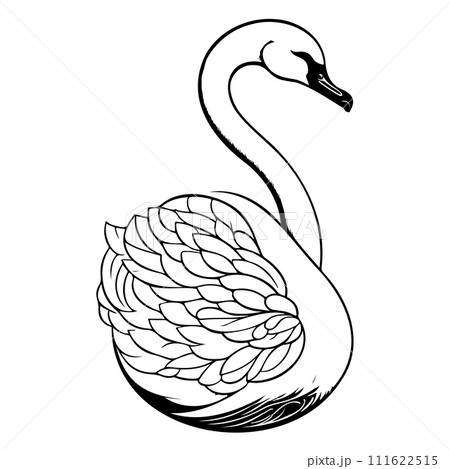 swan goose animal hand draw black colour logo symbol perfect. 111622515