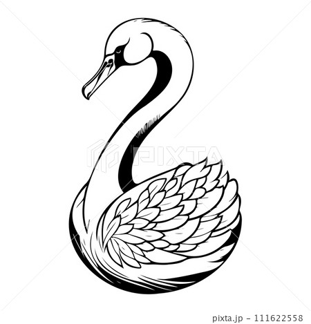 swan goose animal hand draw black colour logo symbol perfect. swan goose animal hand draw black colour logo symbol perfect. 111622558