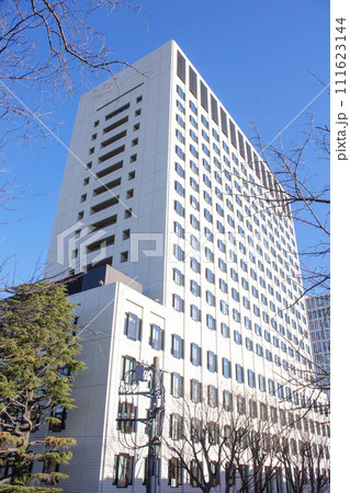 上智大学 111623144