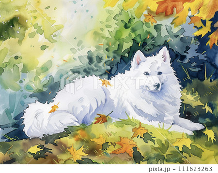 水彩で描いた白いサモエド犬と秋の森背景　AI画像 111623263