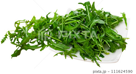 Ceramic plate with pile of fresh arugula leaves Ceramic plate with pile of fresh arugula leaves 111624590
