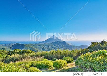 【大野岳しろろ展望台より開聞岳】 鹿児島県南九州市頴娃町郡 111624617