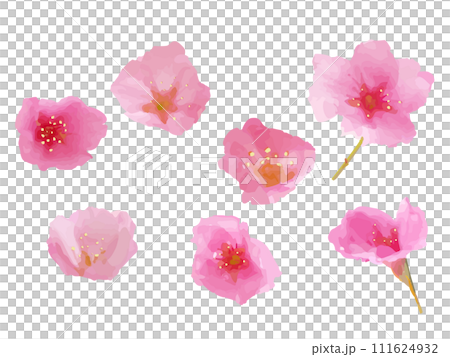 Hand-drawn style cherry blossom illustration set 111624932