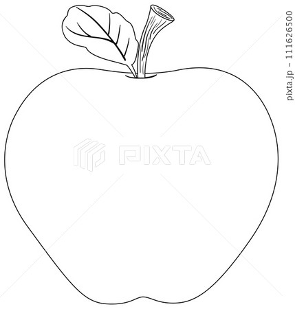 Simple Apple Line Art Illustration 111626500