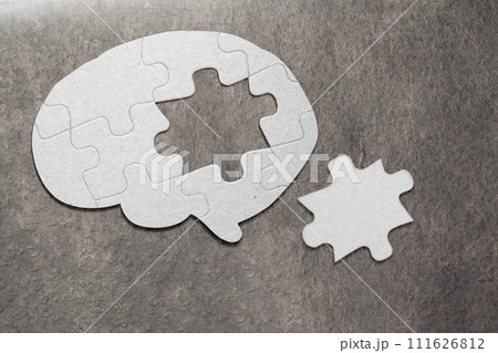 The missing piece of the brain puzzle 111626812