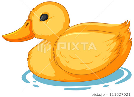Cute Duckling Floating on Water 111627021