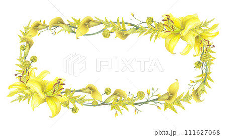 Lilies Yellow flower, calla lilies, craspedia, Solidago Frame border isolated on white background. Watercolor hand drawn botanic illustration. Art design wedding invitation, greeting card, decoration 111627068