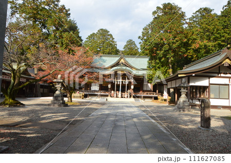 大麻比古神社･参道（徳島県鳴門市大麻町板東字広塚13） 111627085