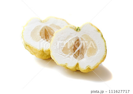 鬼柚子 獅子柚子 鬼柚子 獅子柚子 111627717