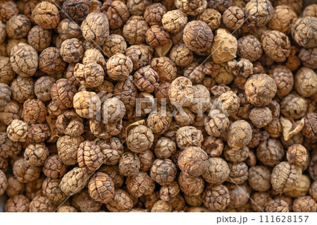 Dried seed herb spices, Amomum villosum Lour. Bustard cardamom, Tavoy cardamom,Zingiberaceae, Thai Asian dry herbal seasoning. 111628157