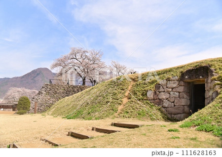 松代城跡の西北からの春景色 松代城跡の西北からの春景色 111628163