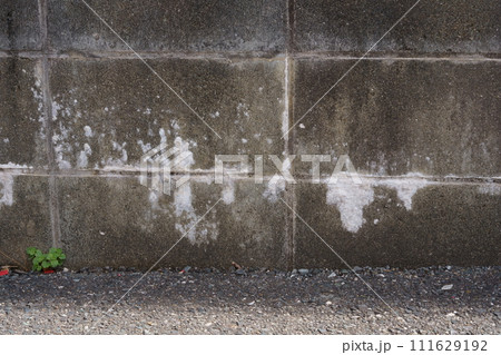 コンクリートブロック塀の目地に浮き出たエフロレッセンス コンクリートブロック塀の目地に浮き出たエフロレッセンス 111629192
