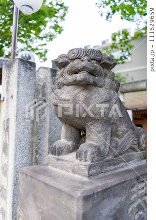 埼玉県　川越熊野神社の狛犬 111629659