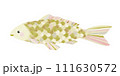 金色の鯉 111630572