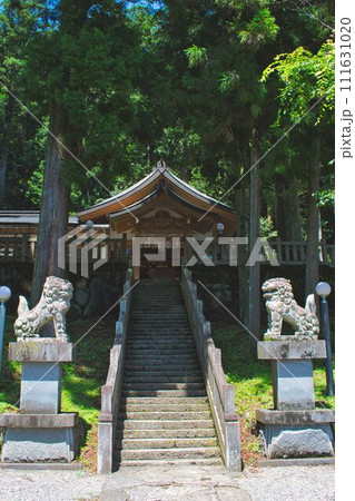 夏の高賀神社 111631020