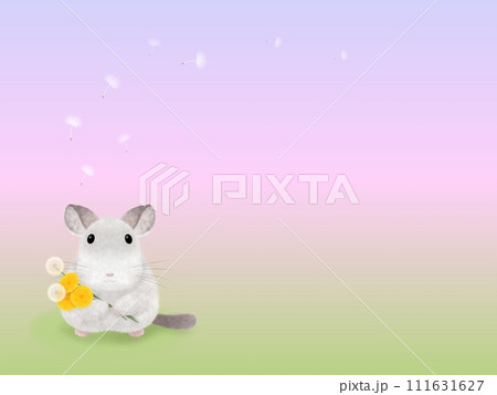 チンチラとタンポポ C-3 チンチラとタンポポ C-3 111631627