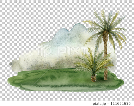Tropical landscape with coconut palm trees, grass and mountains watercolor illustration isolated on white for summer jungle rainforests or prehistorical designs and travel brochures for vacation 111631656